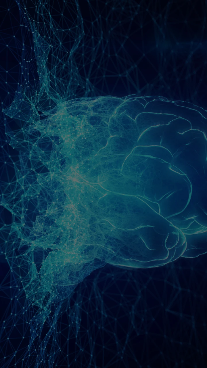brain